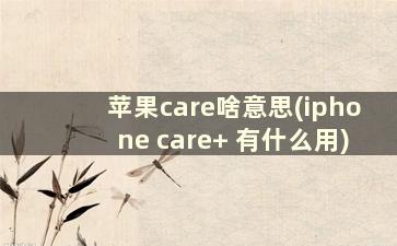 苹果care啥意思(iphone care+ 有什么用)